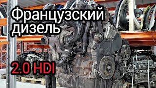 Самый надежный французский мотор? Разбираем турбодизель 2.0 HDI DW10TD  RHY