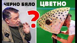 ВИЖДАТ ли РИБИТЕ ЦВЕТНО??? КАКВО УСЕЩАТ със страничната си линия?