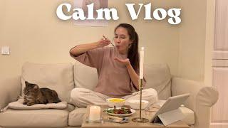 ЗИМНИЙ ВЛОГ разбор косметики домашний уют и колесо баланса calm vlog