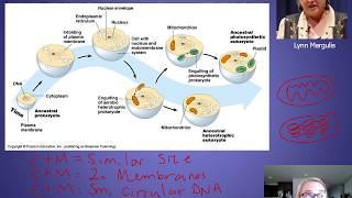 Chapter 3 Archaeal Characteristics