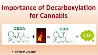 Importance of Decarboxylation for Cannabis