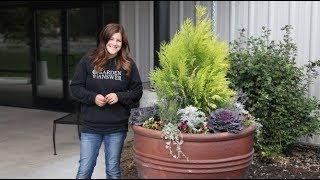 Planting Large Containers