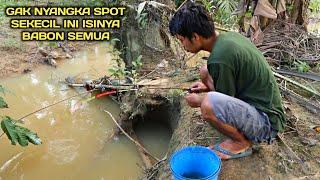 TERKEJUT MANCING DI SELOKAN KECIL ISINYA BABON SEMUA