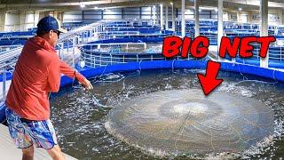 I Exposed a Major Shrimp Farming Operation I Can’t Believe They are Doing This