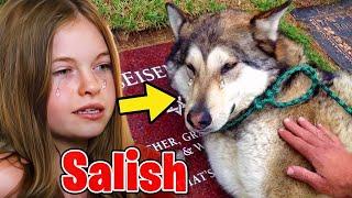 7 YouTubers SADDEST MOMENTS Caught on Video Salish Matter Jordan Matter DanTDM