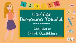 3. Sınıf -  Canlılar Dünyasına Yolculuk Canlıların Ortak Özellikleri