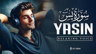 Surah Yaseen Yasin سورة يس   Relaxing Heart Melting Voice  Surah Yasin Lofi Quran