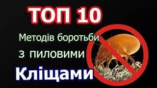 ТОП-10 Методів боротьби з пиловим кліщем  ТОП-10 Методов борьбы с пылевым клещом  Мама Алергіка