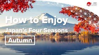 How to Enjoy Japans Four Seasons  Autumn