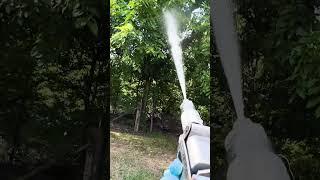 Spraying Bagworms POV