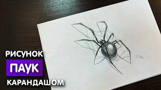 Как нарисовать паука карандашом  Рисунок для начинающих поэтапно