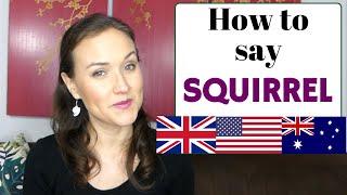 How to Pronounce Squirrel  English #shorts
