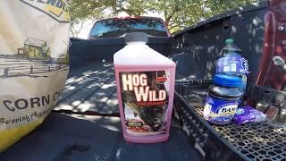 WILD HOG HUNTING HOG BAIT & TIPS