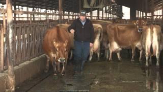 2015 Innovative Dairy Farmer of the Year