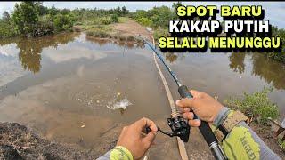 MANCING IKAN KAKAP PUTIH DI SPOT BARU