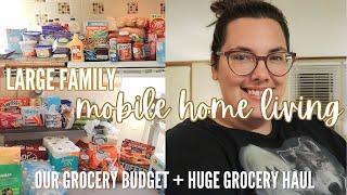  OUR GROCERY BUDGET + HUGE GROCERY HAUL  large family doing mobile home living