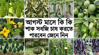 আগস্ট মাসে কি কি সবজি চাষ করলে মাচা ভর্তি ফলন পাবেন - আগষ্ট মাসে কি কি ফসল চাষ করবেন - Vegetable