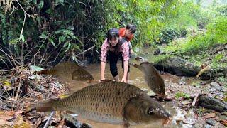 Arrange stream rocks to create traps to catch fish to sell Plant sweet potatoes clean up the farm