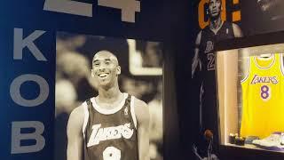 A Day at the Basketball Hall of Fame Springfield MA