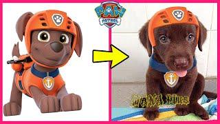 Paw Patrol Characters In Real Life @WANAPlus