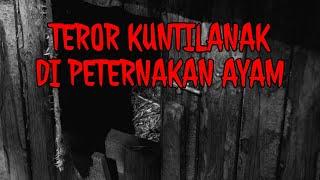 PENGALAMAN HOROR PENJAGA PETERNAKAN AYAM • DITEROR KUNTILANAK ‼️  PENUNGGU PETERNAKAN