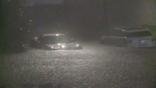 Watch Cars flooded as Hurricane Francine pelts New Orleans