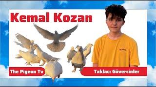 Genç Kuşçu Kemal Kozanın Efsane Beyazları