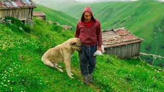 The Highlander in the Abandoned Mountains  Documentary Film