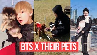 bts x their pets