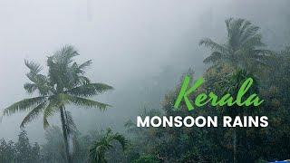 Why Kerala for Monsoon? - Best Monsoon video