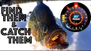 How to Find and Catch Crappies when Ice Fishing