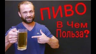 Как Пить ПИВО Без Вреда Для Здоровья  Пиво При Похудении