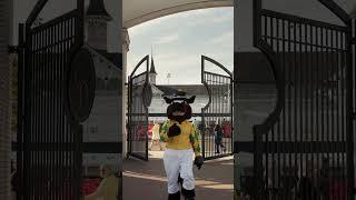 The gates have opened. Kentucky Oaks has begun #kentuckyderby