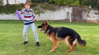 German Shepherd Puppy brings smiles to kids