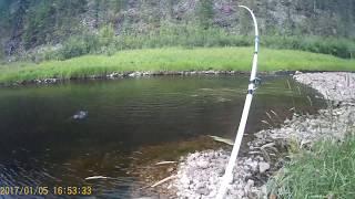 Рыбалка в диких местах на Ленка