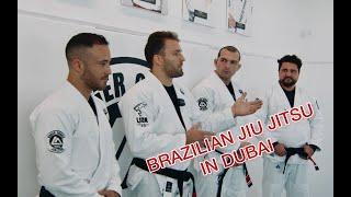 Бразильское джиу джитсу Brazilian jiu jitsu