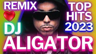 Dj Aligators Ultimate 2023 Remix Of Recent Hot Hits 