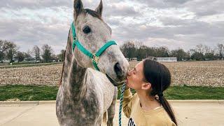 Farm Girl Fulfills Lifelong Dream of Getting A Horse