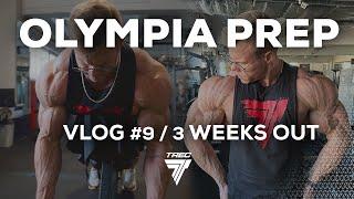 Damian SAIYAN Kuffel - TRENING RAMION - 3 tygodnie do startu na Mr. Olympia