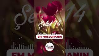 Şehid 14  Em Muslumanın  Remzi Esmer  Özlem Ajans   #ilahi #müzik #reels