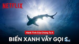 Nhạc thư giãn du dương nơi biển xanh đưa bạn vào giấc ngủ  Hành tinh của chúng ta II  Netflix