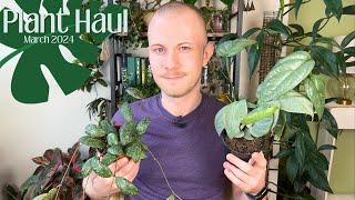 Plant Haul  March 2024