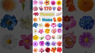 170 Flowers Name Part- 07 #flowers #flowersname #flower #flowernames #flowershorts #allflowersname