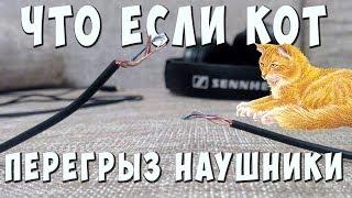  Что делать если кот перегрыз провод? Как спаять провод наушников? 