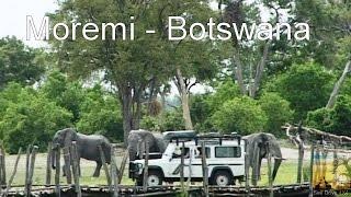 Self Drive Moremi Botswana