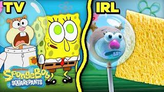 SpongeBob Goes Wild IRL   Feral Friends Recreation  SpongeBob