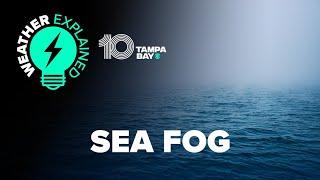 Sea fog How it forms and why it can be so dangerous