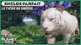 Le Tigre de Sibérie LeuciqueAlbinosMélanique  LES ENCLOS PARFAITS  EPISODE 94  PLANET ZOO