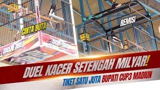 DUEL KACER SETENGAH MILYAR Kacer Cinta Buta VS Remisi