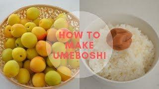 How to make UmeboshiEpic episode〜梅干しの作り方〜EP108